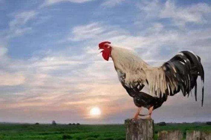 Nằm Mơ Thấy Bố Chết Đánh Đề Số Mấy?