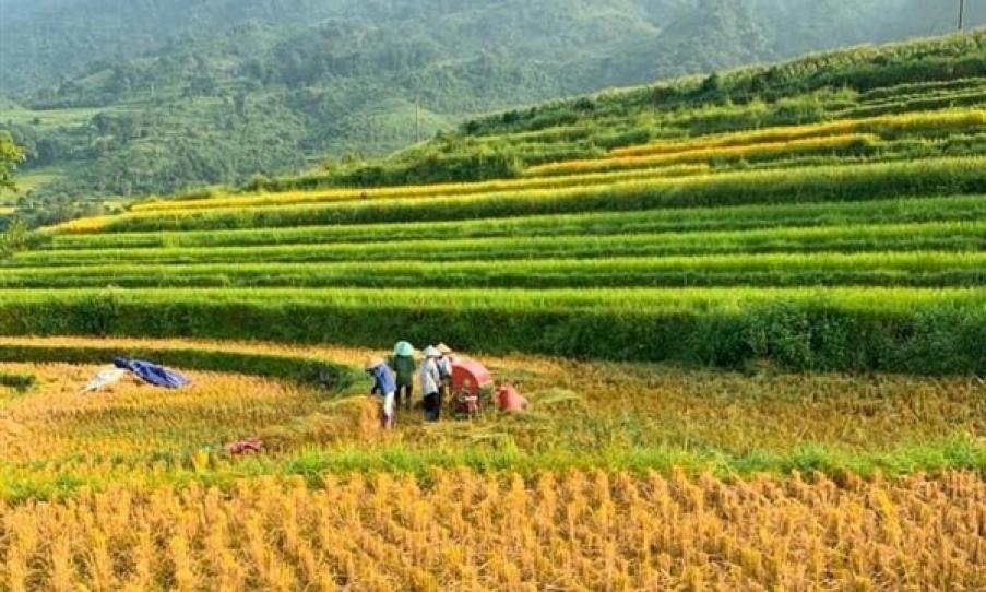 Giải Mã Giấc Mơ Nằm Mơ Đánh Vợ Đánh Con Gì?