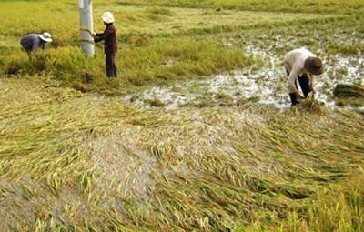 Nằm Mơ Giếng Đầy Nước Đánh Đề Con Gì?