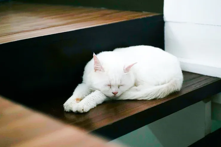 Nằm Mơ Thấy Mình Là Người Thứ Ba: Giải Mã Lô Đề