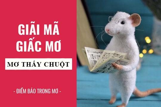 Giải mã giấc mơ thấy chuột trắng