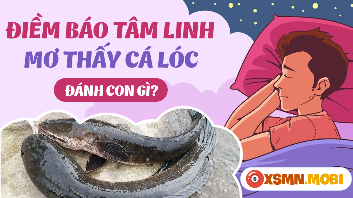 Nằm Mơ Lên Đỉnh Khi Mang Thai: Giải Mã Lô Đề