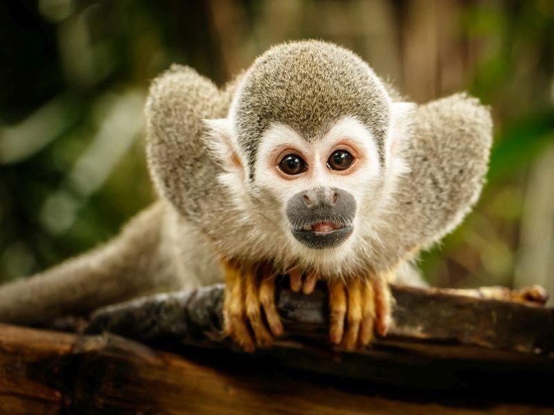 Giải Mã Giấc Mơ Thấy Mây Ngũ Sắc