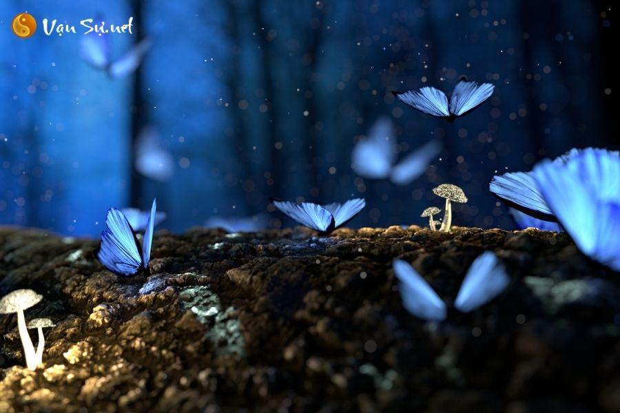 Giải mã giấc mơ bướm vàng