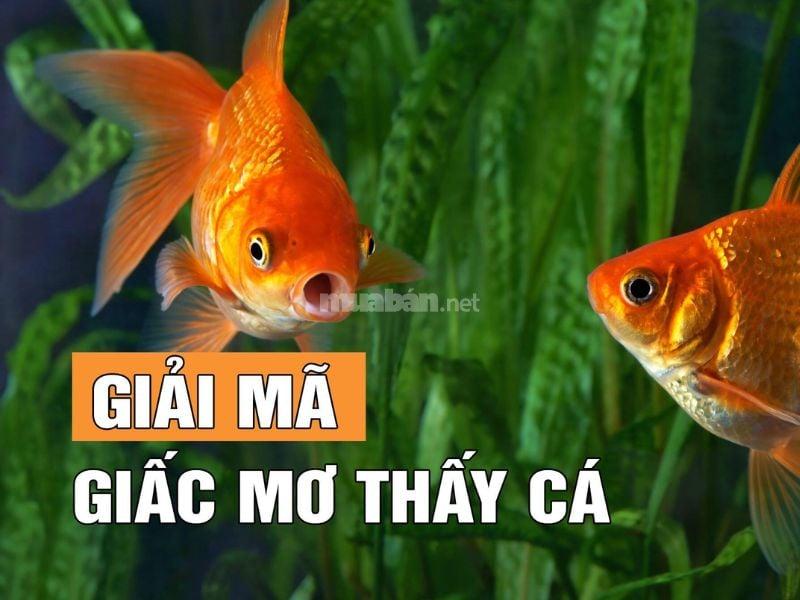 Giải Mã Giấc Mơ Thấy Yêu Người Bạn