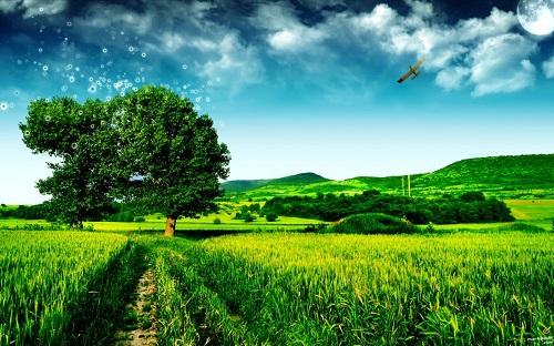 Giải Mã Giấc Mơ Thấy Chửi Người Khác Đánh Con Gì?