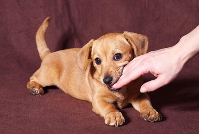 Giải Mã Giấc Mơ Thấy Mình Bị Bắt Nhốt