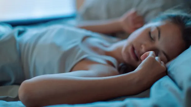 Nằm mơ thấy mèo đẻ là điềm báo gì? Giải mã chi tiết