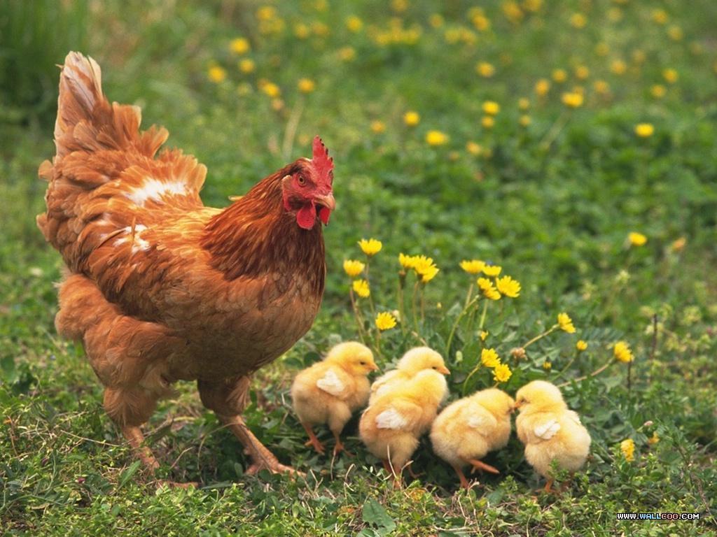 Giải Mã Giấc Mơ Thấy Làm Tóc: Điềm Báo &amp; Con Số May Mắn