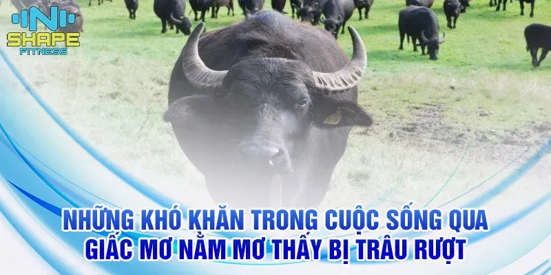 Giải mã giấc mơ giết con nít: Lo lắng