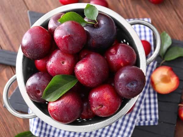 Giải Mã Giấc Mơ Bị Vỡ Răng Hàm: Điềm Báo Hay Con Số May Mắn?