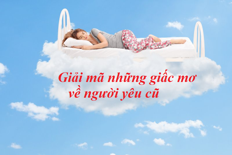 Nằm Mơ Thấy Gà Đá Lớn Đánh Số Gì?
