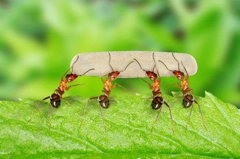 Giải Mã Giấc Mơ Nằm Mơ Đánh Vợ Đánh Con Gì?