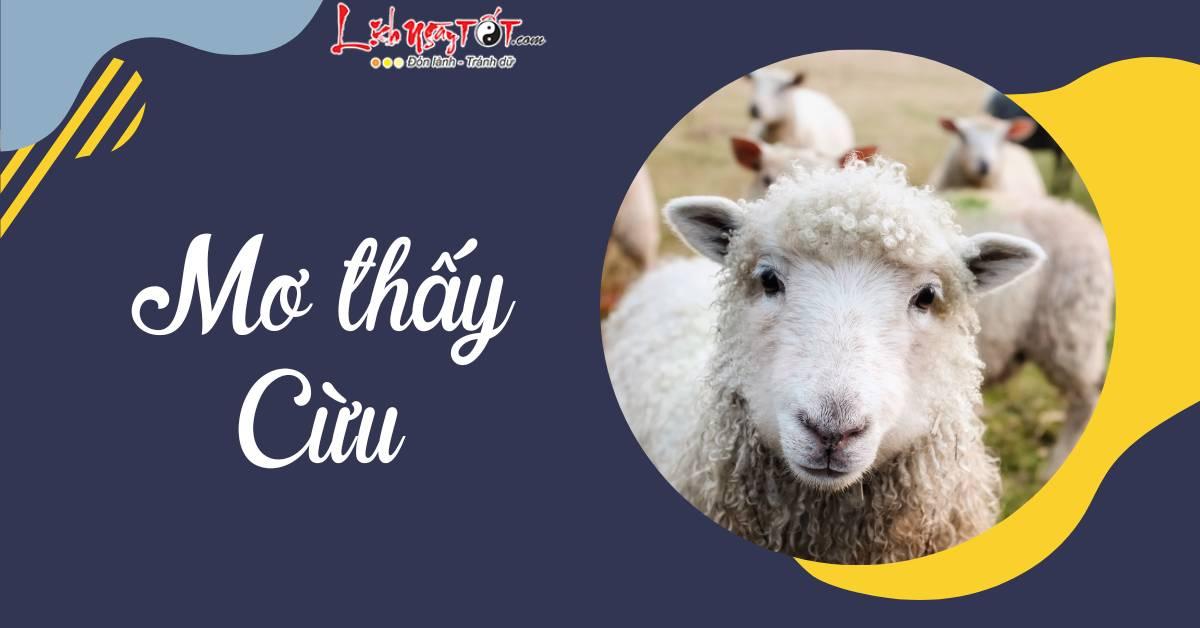 Giải mã giấc mơ mua thịt dê theo sổ mơ
