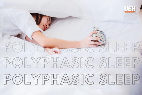 Nằm Mơ Thấy Rắn Cắn Mình: Giải Mã Số Đề Chính Xác