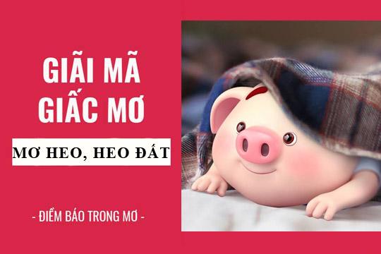 Giải Mã Giấc Mơ Thấy Mèo Đen Vào Nhà Và Con Số May Mắn