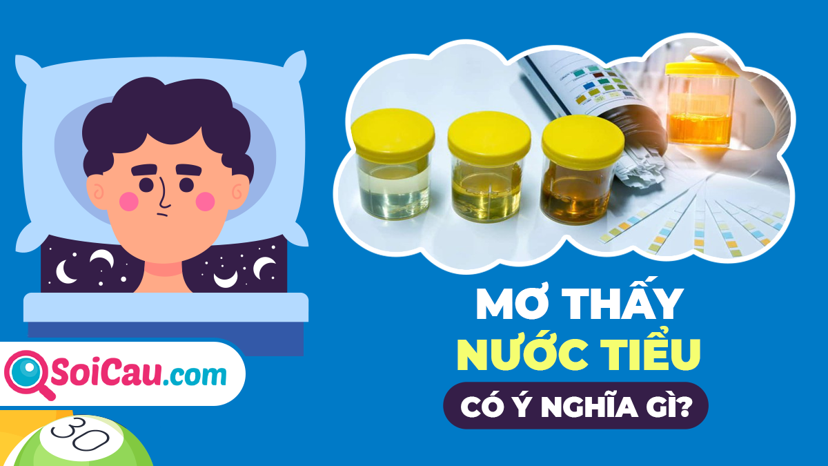 Giải Mã Giấc Mơ Thấy Số 40