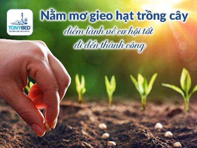 Nằm Mơ Thấy Em Trai Mình Chết Điềm Gì, Đánh Con Gì?