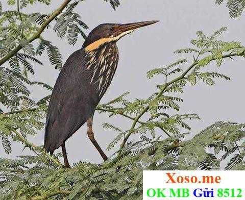 Giải Mã Giấc Mơ Thấy Bãi Giữ Xe và Số Đề Liên Quan