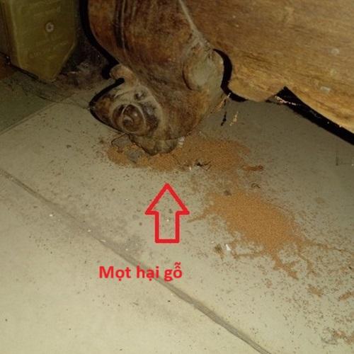 Nằm Mơ Thấy Rắn Lục Đuổi: Điềm Báo Gì Và Đánh Con Số Mấy?