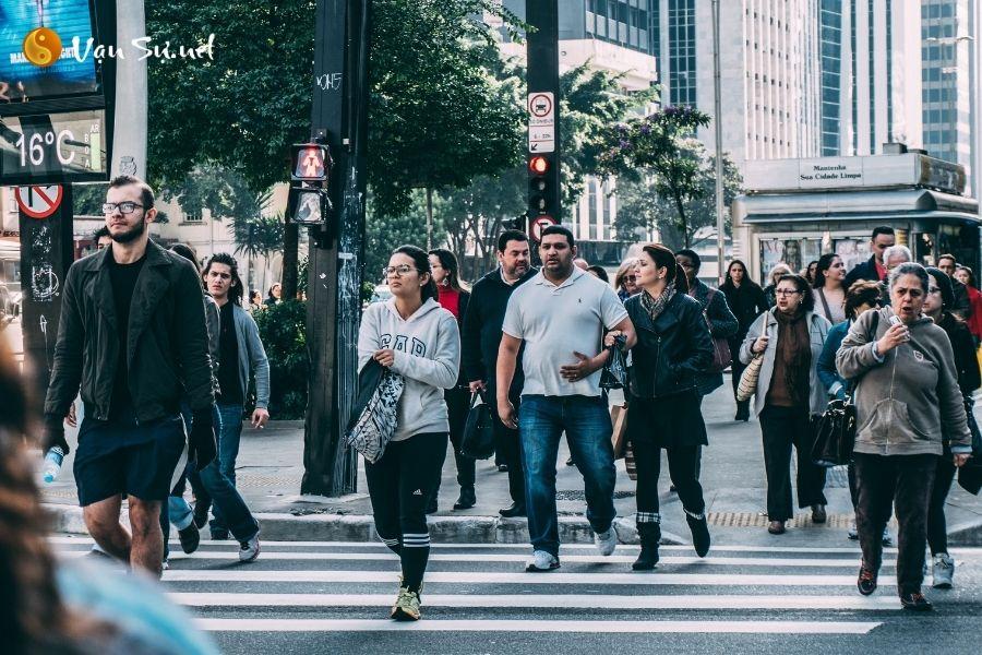 Nằm Mơ Thấy Bị Rắn Độc Cắn Vào Tay: Giải Mã & Số Đề