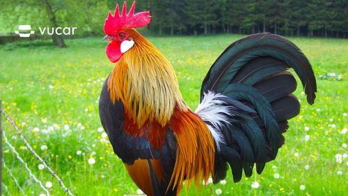 Giải Mã Giấc Mơ Thấy Người Khác Phái Ôm Mình