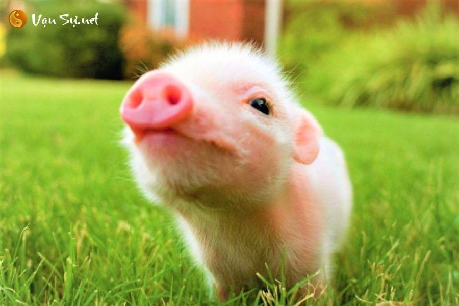 Nằm Mơ Vợ Chồng Bỏ Nhau Đánh Con Gì? Giải Mã Chi Tiết