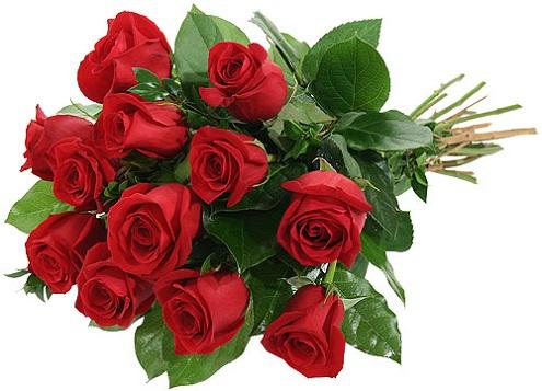 Giải mã giấc mơ thấy hoa hồng đỏ