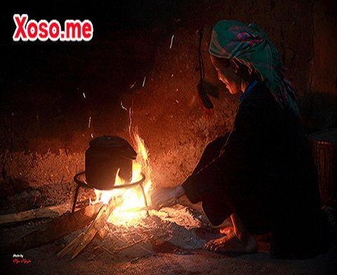 Giải Mã Giấc Mơ Thấy Bị Cắn: Điềm Báo & Con Số May Mắn