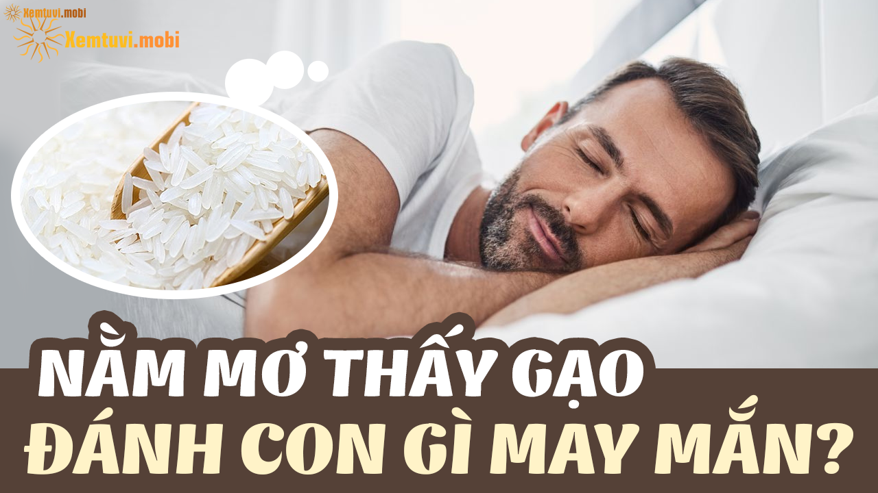 Nằm Mơ Thấy Hôn Người Mình Thích Đánh Con Gì?