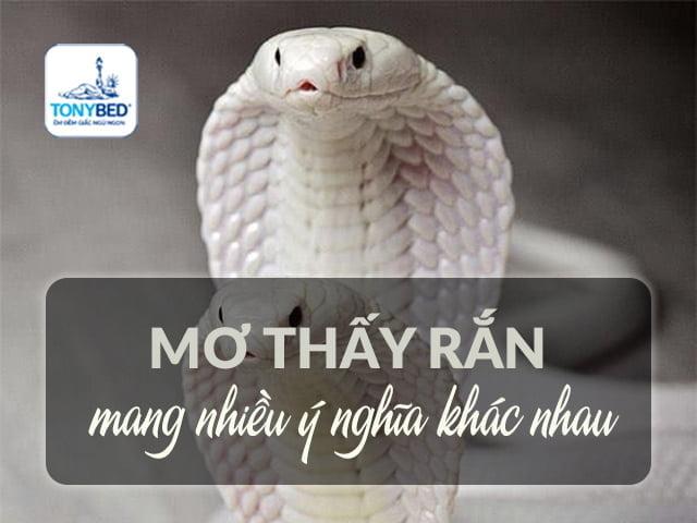 Giải Mã Giấc Mơ Thấy Lấy Chồng Khác Đánh Con Gì?