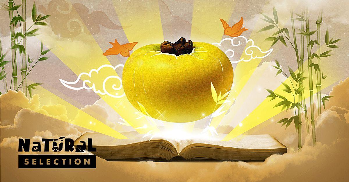 Nằm mơ thấy quần áo bị cháy là điềm gì? Giải mã chi tiết