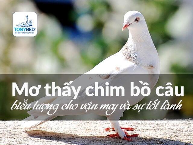 Giải Mã Giấc Mơ Thấy Bà Chủ Và Con Số May Mắn