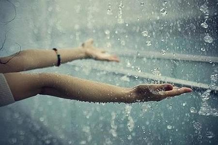 Giải Mã Giấc Mơ Thấy Hả? Điềm Báo Hay Con Số May Mắn?