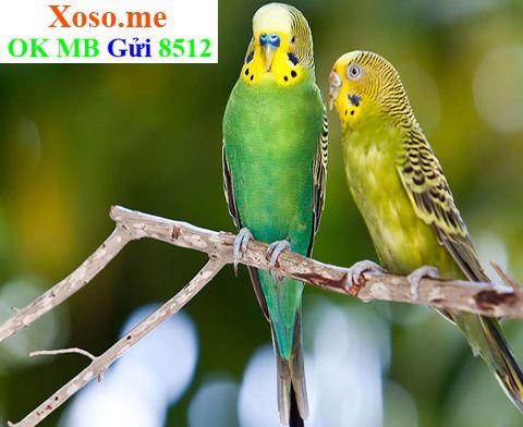 Giải Mã Giấc Mơ Nằm Mơ Đỡ Đẻ Cho Người Khác