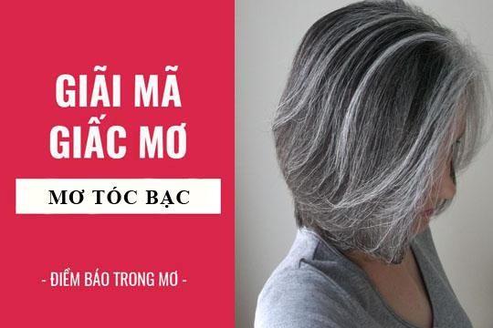 Giải Mã Giấc Mơ Số: Tìm Hiểu Bí Ẩn Đằng Sau Những Con Số