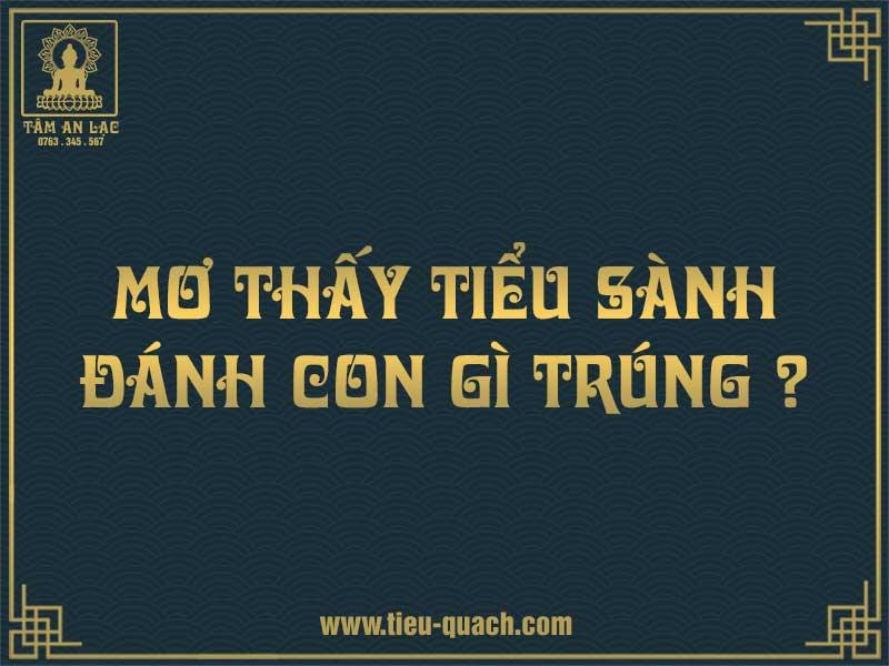 Giải mã giấc mơ thấy tiểu quách đánh đề con gì?