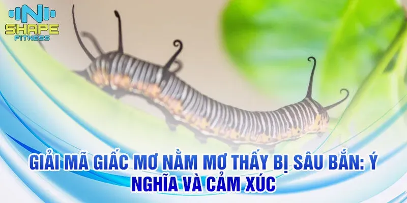 Giải mã giấc mơ thấy trúng thưởng: Ý nghĩa và con số may mắn