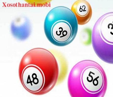 Giải Mã Giấc Mơ Thấy Hái Trái Bình Bất