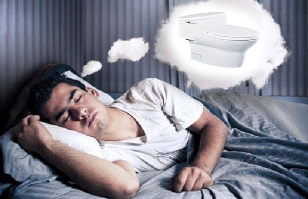 Nằm mơ thấy dắt bò đánh con gì? Giải mã chi tiết