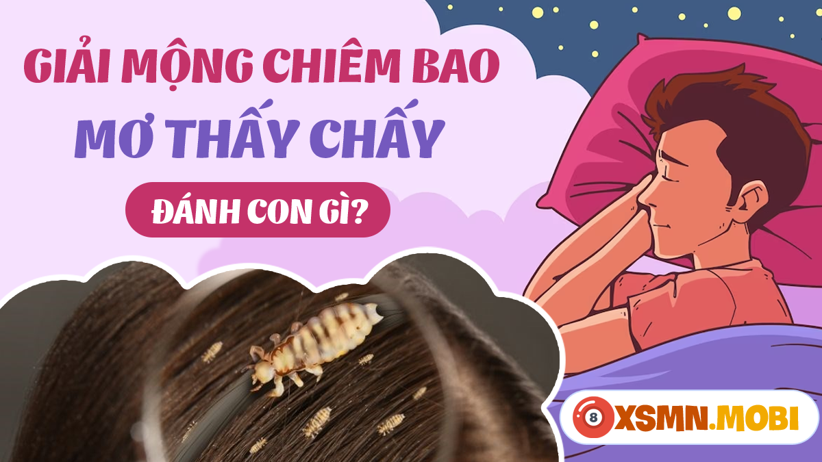 Giải Mã Giấc Mơ Thấy Cát: Điềm Báo Lành Hay Dữ?