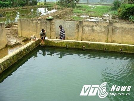 Giải Mã Giấc Mơ Thấy Người Khác Sinh Con