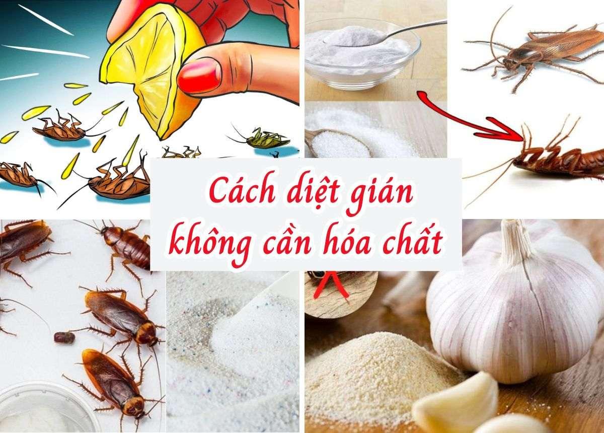 Giải Mã Giấc Mơ Thấy 5 Mẹ Ngũ Hành Đánh Con Gì?