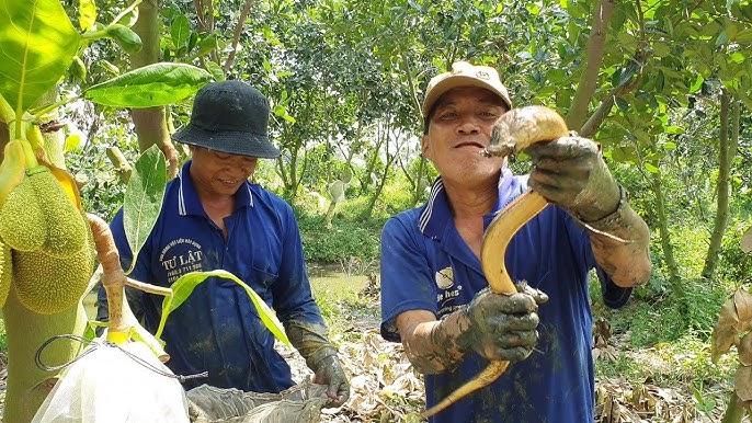 Nằm Mơ Thấy Bạn Thân Bị Giết: Giải Mã Số Đề