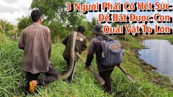 Nằm Mơ Thấy Con Trăn Đánh Số Mấy?