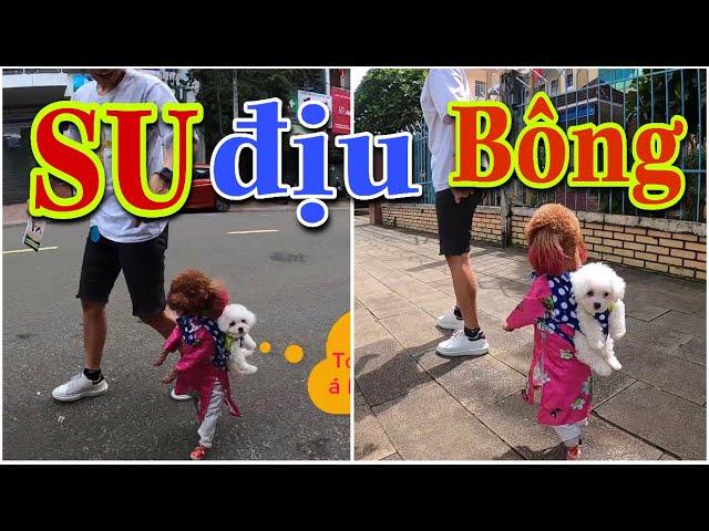 Giải Mã Giấc Mơ Thấy Răng Bị Lung Lay và Con Số May Mắn