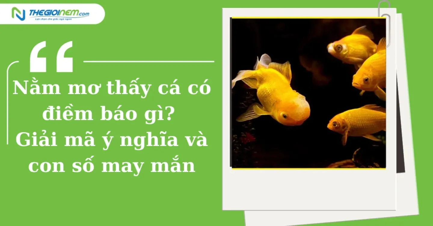 Nằm Mơ Thấy Hai Cái Mộ Đánh Đề Con Gì?