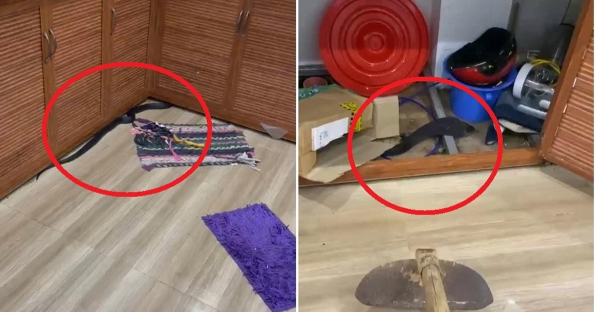 Giải Mã Giấc Mơ Bị Người Khác Cắn Và Con Số May Mắn