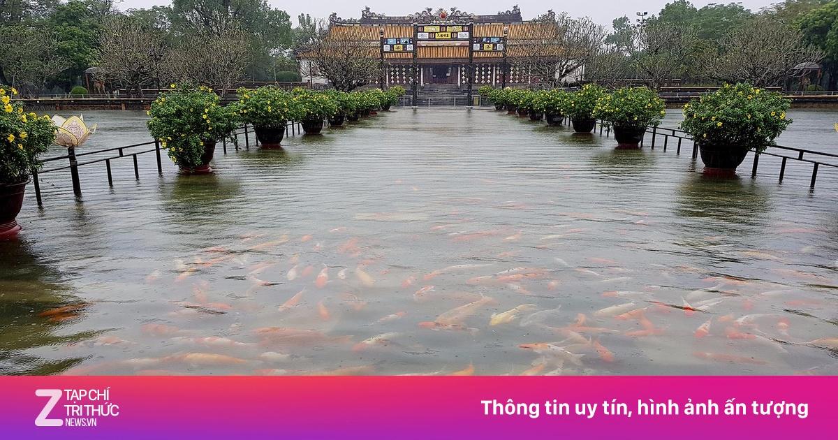 Giải Mã Giấc Mơ Thấy Nhẫn Bị Rớt Hột