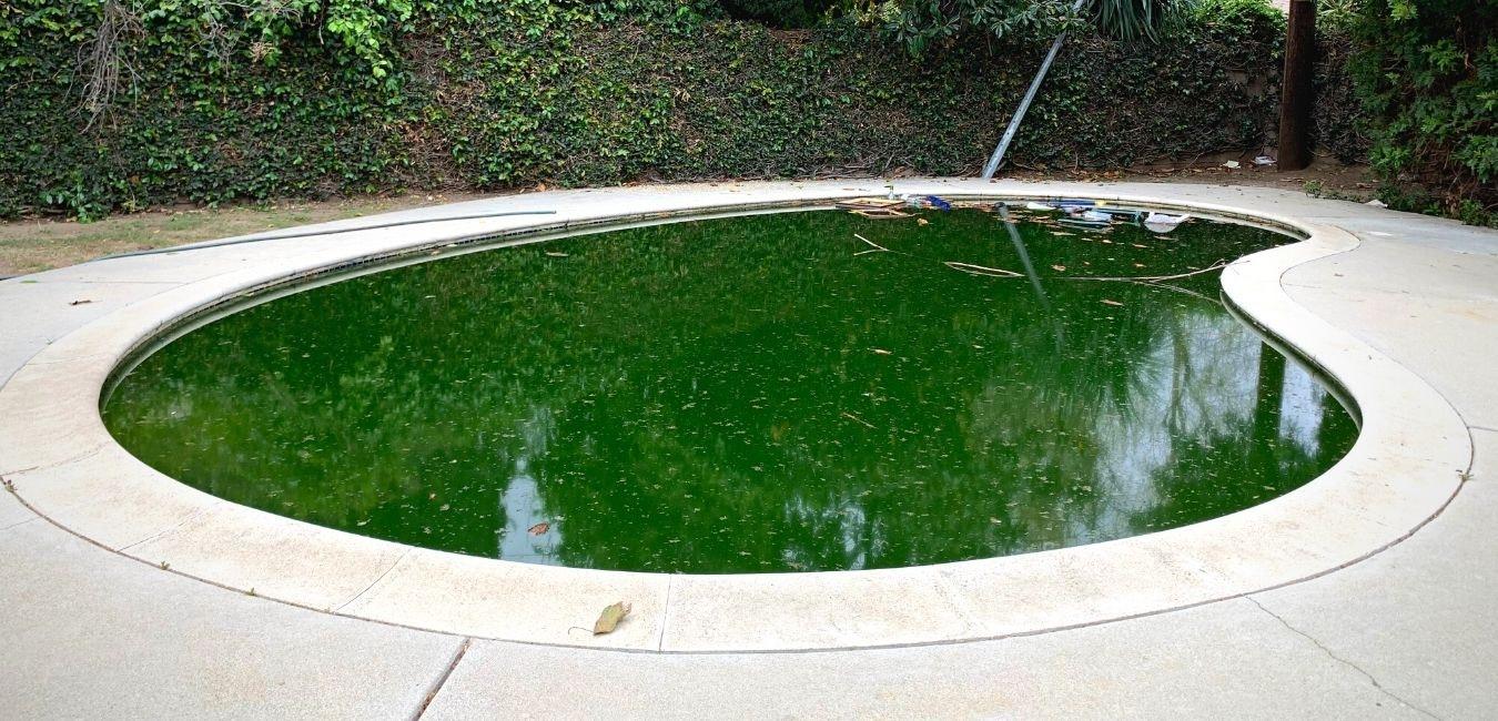 Giải Mã Giấc Mơ Bị Ngã Xuống Sông Và Con Số May Mắn